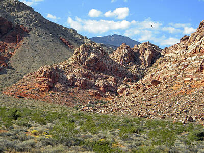 Featured Tapestry Designs - Calico Basin View by Frank Wilson