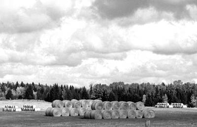 Open Impressionism Red Rock Desert Rights Managed Images - Cariboo Country Hay Bales Royalty-Free Image by Will Borden