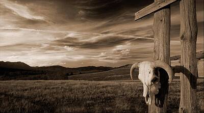 Kids Cartoons Royalty Free Images - Cattle Skull Hanging On Ranchers Fence Royalty-Free Image by Carson Ganci
