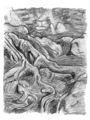 Landscapes Drawings - Charcoal drawing of gnarled pine tree roots in swampy area by Adam Long
