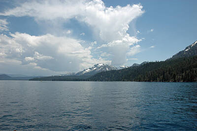 Aloha For Days - Cloud Reflections Lake Tahoe by LeeAnn McLaneGoetz McLaneGoetzStudioLLCcom