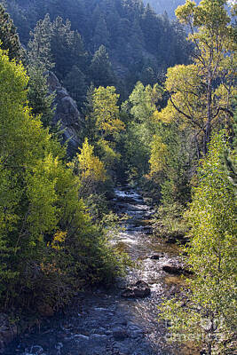 Disney - Colorado Left Hand Creek Boulder County Autumn View by James BO Insogna