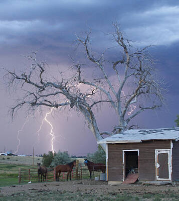 James Bo Insogna Royalty-Free and Rights-Managed Images - Country Horses Lightning Storm NE Boulder County CO 66V by James BO Insogna