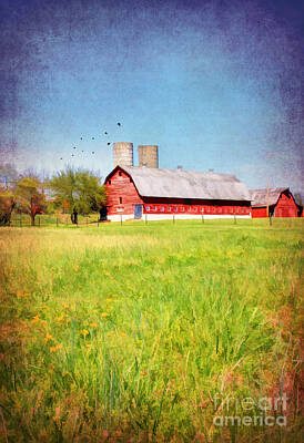 Whimsically Poetic Photographs - Down on the farm in Bardstown by Darren Fisher