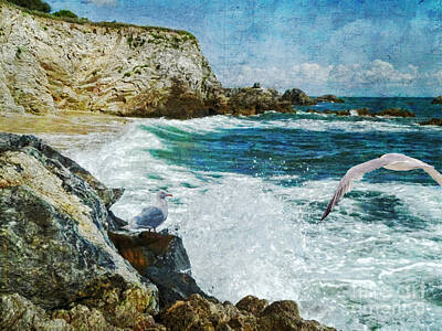 Beach Digital Art - Dreamer Dream No More by Lianne Schneider
