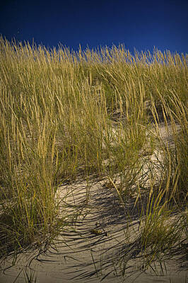 Randall Nyhof Royalty-Free and Rights-Managed Images - Dune and Beach Grass on Lake Michigan by Randall Nyhof