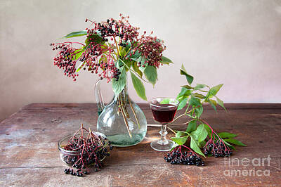 Still Life Royalty-Free and Rights-Managed Images - Elderberries 03 by Nailia Schwarz