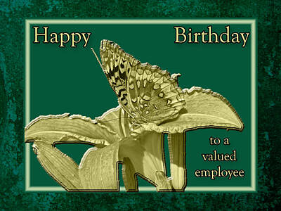 Photo Royalty Free Images - Employee Birthday Card - Great Spangled Fritillary Butterfly Royalty-Free Image by Carol Senske