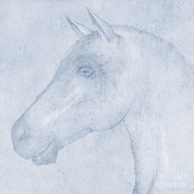 Mammals Digital Art - Equus by John Edwards
