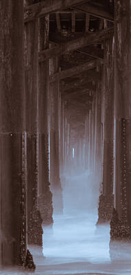 Line Drawing Quibe - Ethereal Pier by Kelly McNamara