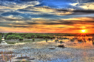 Recently Sold - Reptiles Photo Royalty Free Images - Everglades Sunset Royalty-Free Image by Sean Allen