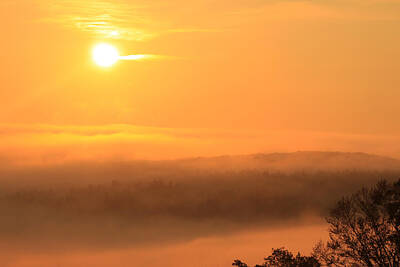 Comedian Drawings Royalty Free Images - Foggy Sunrise over Quabbin Reservoir Royalty-Free Image by John Burk