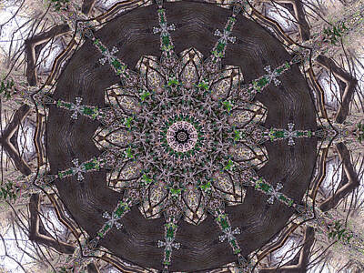 Negative Space - Forest Kaleidoscope 3 by Rhonda Barrett