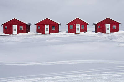 Randall Nyhof Royalty-Free and Rights-Managed Images - Four Red Cabins in Winter by Randall Nyhof