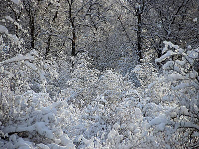 Train Photography - Fresh Snows In The Cottonwoods by DeeLon Merritt