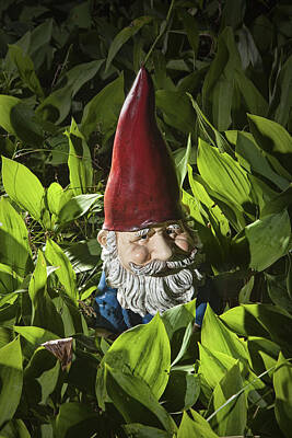 Randall Nyhof Royalty-Free and Rights-Managed Images - Garden Gnome No 0065 by Randall Nyhof