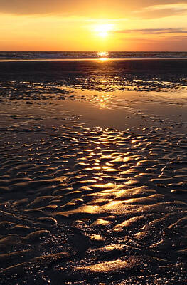 Abstract Landscape Photos - Golden Sunset On The Sand Beach by Setsiri Silapasuwanchai