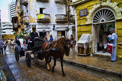 Animals Photos - Horse and Buggy in old Cartagena Colombia by David Smith