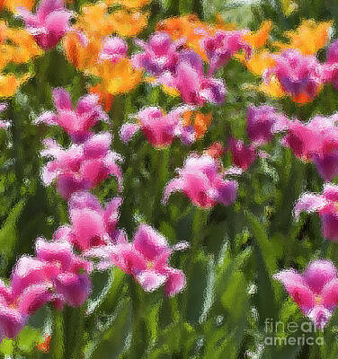 Impressionism Photo Royalty Free Images - Impressionist tulips in a field Royalty-Free Image by Tim Mulina
