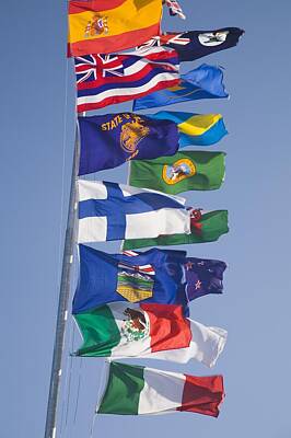 Red Foxes - International Flags On A Flagpole by Sean White