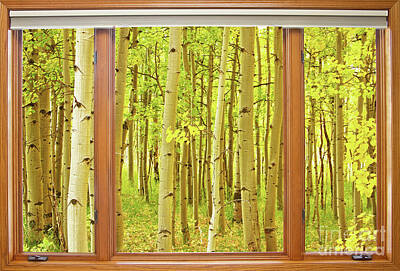 Happy Anniversary - Into the Aspens Window View by James BO Insogna