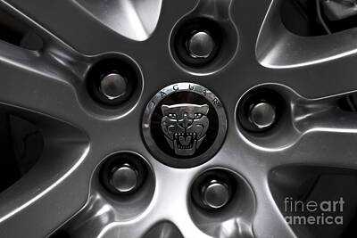 Meiklejohn Graphics - Jaguar Wheel by Dennis Hedberg