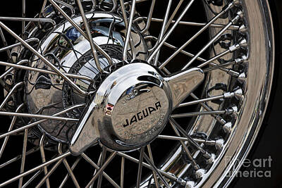 Sultry Plants Rights Managed Images - Jaguar Wire Wheel Royalty-Free Image by Dennis Hedberg