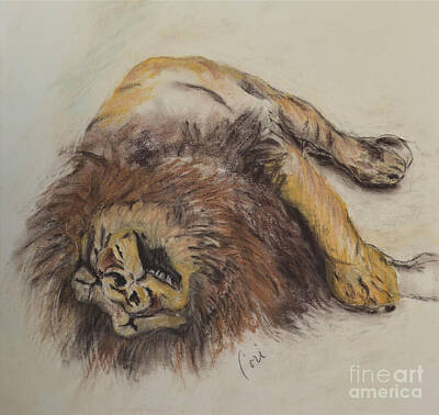 Drawings Royalty Free Images - Just Lion Around Royalty-Free Image by Cori Solomon
