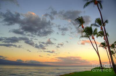 Ballerina Rights Managed Images - Kaanapali Palm Sunrise Royalty-Free Image by Kelly Wade