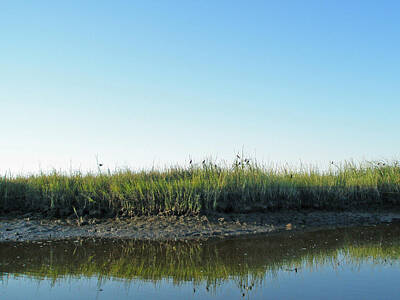 Landscapes Kadek Susanto Royalty Free Images - Low Tide in the Tidal Creek Royalty-Free Image by Carol Senske