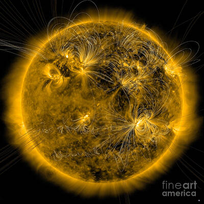 Go For Gold - Magnetic Field Lines On The Sun by Stocktrek Images