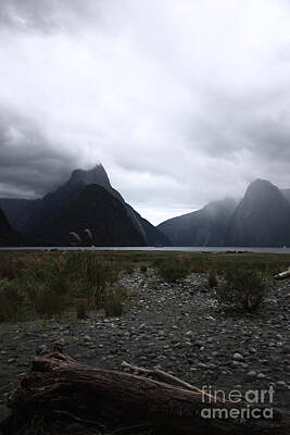Science Collection - Milford Sound by Pixel Chimp