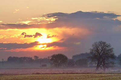 Ingredients Rights Managed Images - Misty Country Sunrise  Royalty-Free Image by James BO Insogna