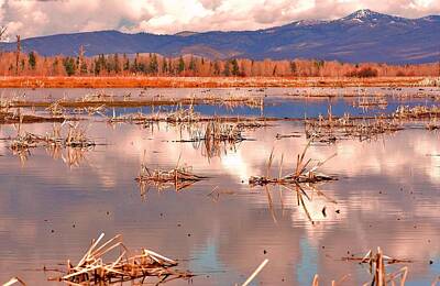 Shaken Or Stirred - Montana Peace Pond II by William Kelvie
