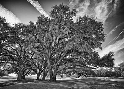 Vintage Ford - Moss-Draped Live Oaks by Phill Doherty