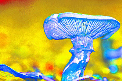 Wine Down Rights Managed Images - Mushroom Whimsy  Royalty-Free Image by Marie Jamieson