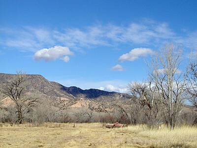 Keg Patents - New Mexico Series - Winter desert beauty by Kathleen Grace