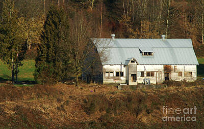 Halloween Elwell Royalty Free Images - Old Barn in Dewdney Royalty-Free Image by Randy Harris