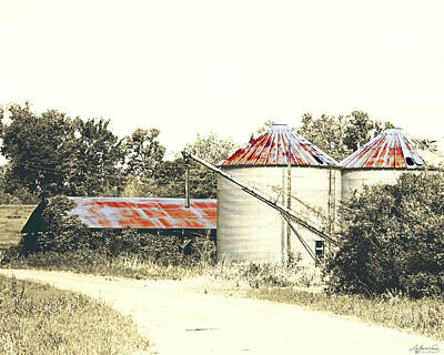Beaches And Waves Rights Managed Images - Old Hwy 61 MS Levee Silos Royalty-Free Image by Lizi Beard-Ward