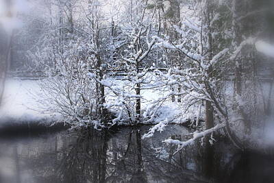 Childrens Room Animal Art - Our Pond in the Snow by Travis Truelove