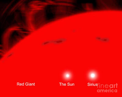 Botanical Farmhouse - Our Sun And The Star Sirius Compared by Ron Miller