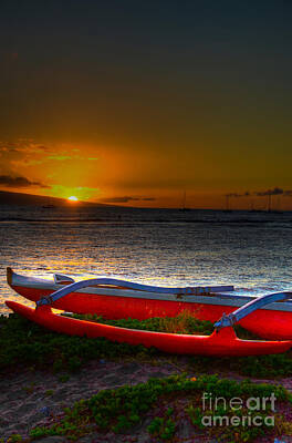 Red Roses - Outrigger At Sunset by Kelly Wade