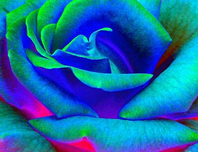Roses Digital Art - Painted Rose 2 by Will Borden