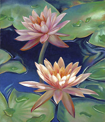 Recently Sold - Lilies Rights Managed Images - Peachy Pink Nymphaea Water Lilies Royalty-Free Image by Nancy Tilles