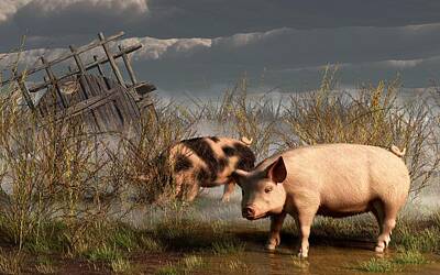 Mammals Digital Art - Pigs After A Storm by Daniel Eskridge