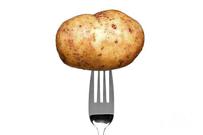 Graduation Sayings - Potato on a fork isolated on white by Richard Thomas