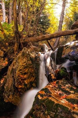 Steampunk - Pouring Over Leafs and Rocks by Mitch Johanson