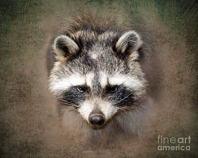 Wild And Wacky Portraits - Raccoon 2 by Betty LaRue
