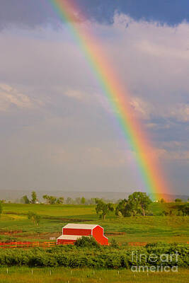Vintage Playing Cards - Rainbow and Red Barn by James BO Insogna