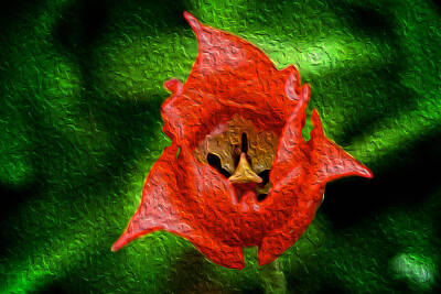 Science Collection Rights Managed Images - Red flower Royalty-Free Image by Prince Andre Faubert